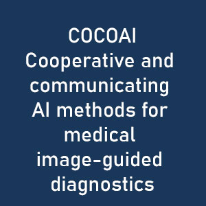 COCOCAI Cooperative and communicating AI methods for medical image-guided diagnostics